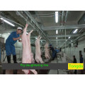 Pig Slaughter Equipment